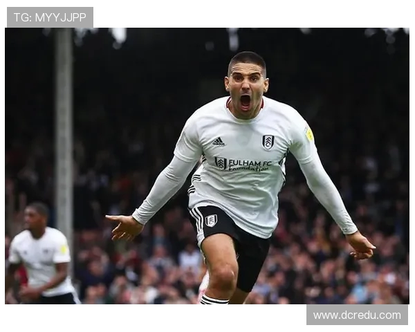 西班牙人免签塞尔维亚门神 德米特罗维奇加盟镇守龙门(2)